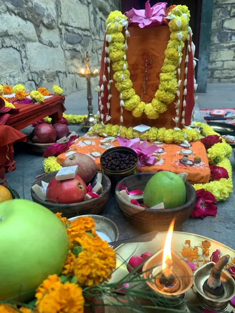 Acharyas performing pooja and havan in Varanasi (15)
